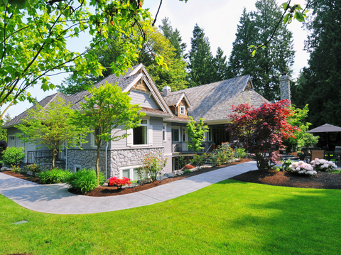 Buy Trees Online: Transform Your Yard with Premium Selections