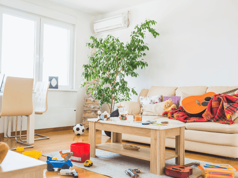 House Plants Care: Expert Tips for Indoor Plant Success