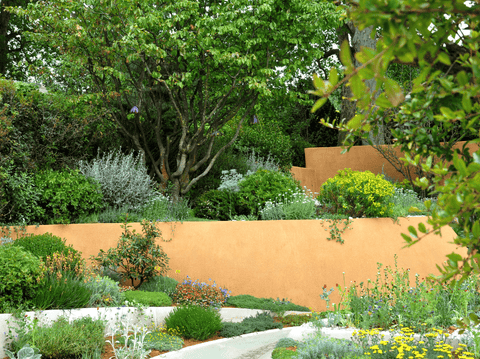 Why Native Plants Are the Secret Sauce of Resilient Gardens