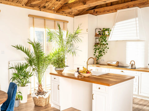 Why It's Time to Ditch Fake Houseplants