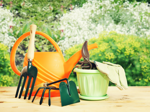 Must-Have Plant Accessories for Gardens - Simply Trees