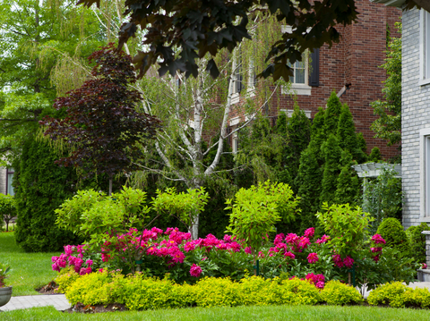 1-Year Guarantee: Plant and Tree Warranty