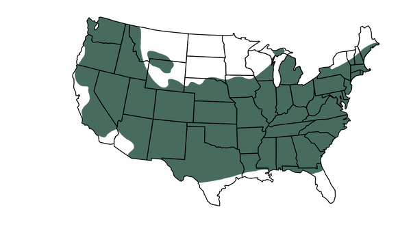 USDA zone map for Bloodgood Japanese Maple