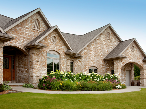 Discover the Best Shrubs for Landscaping Online