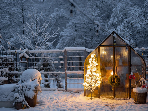 Embracing Winter Planting