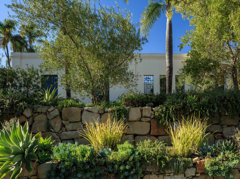 Xeriscaping the Popular Trend in Water Wise Landscaping