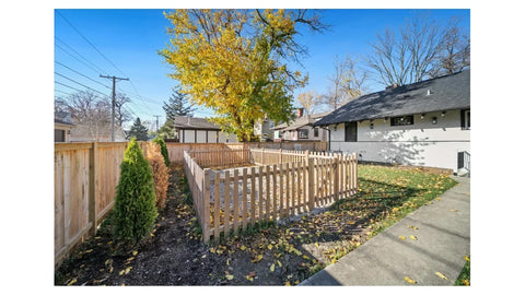 Privacy Trees for Your Backyard: What to Plant and Where