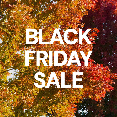 Black Friday Sale