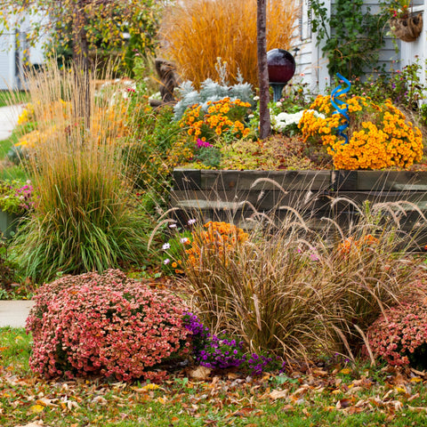 October Planting