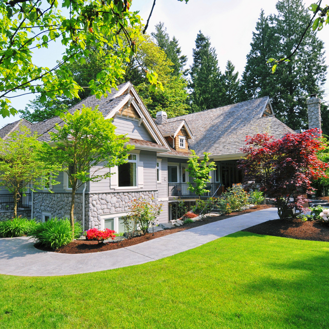 Buy Trees Online | Simply Trees