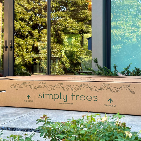 Simply Trees Nationwide Shipping