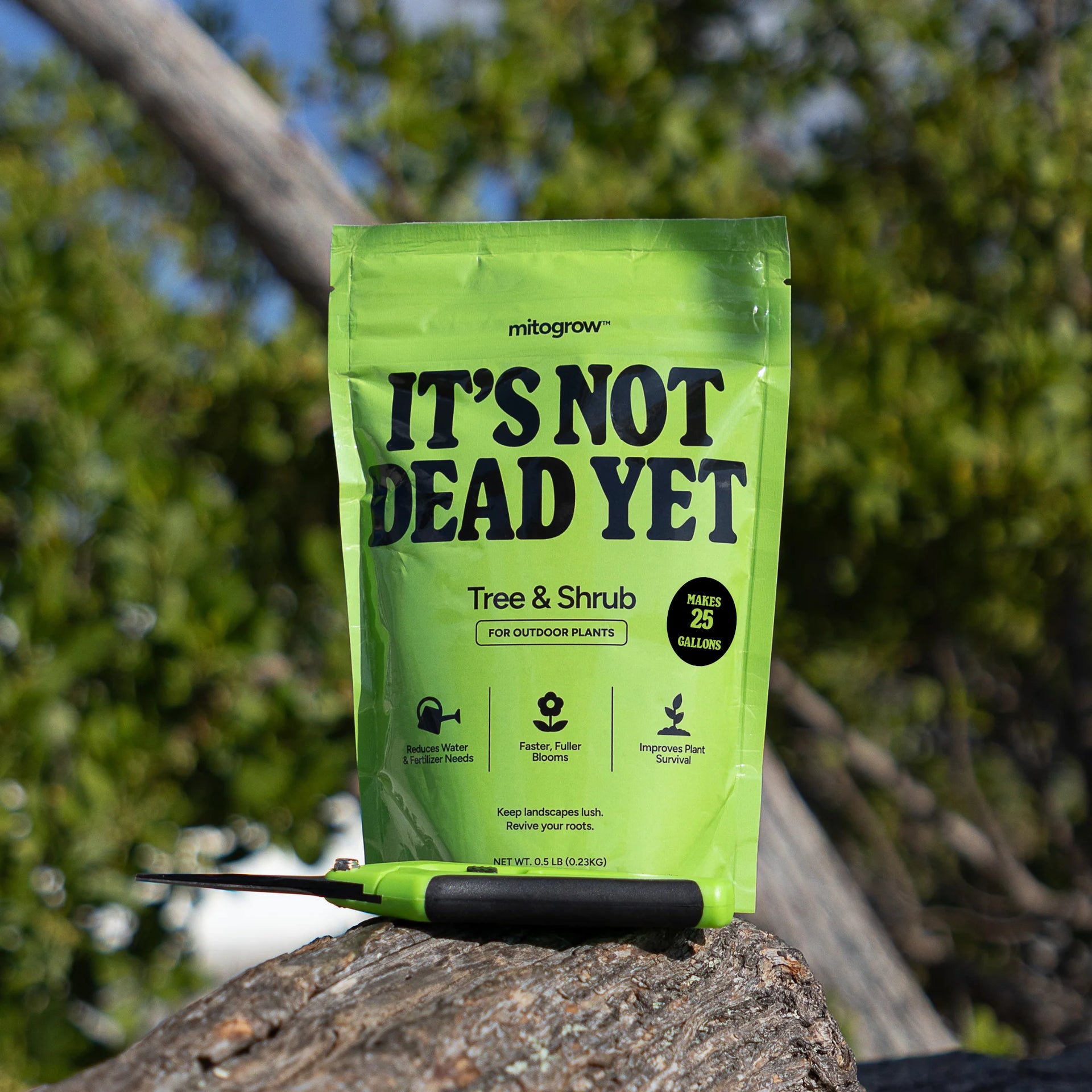 plant shrub fertilizer MitoGrow Tree & Shrub Biostimulant – Boost Growth & Health for Trees &  Shrubs – Simply Trees
