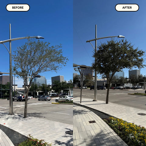 Tree & Shrub MitoGrow