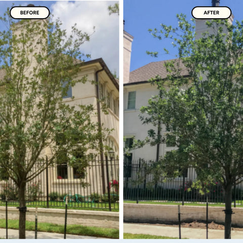 Tree & Shrub MitoGrow