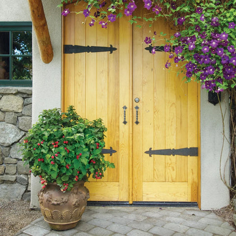 Bushel and Berry® Raspberry Shortcake® Bush