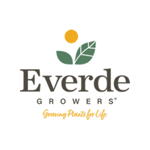 Everde
