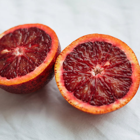 Moro Blood Orange Tree
