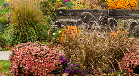 October Planting