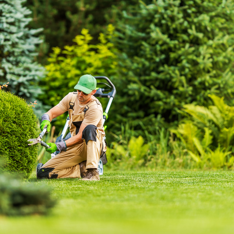 Yard Maintenance