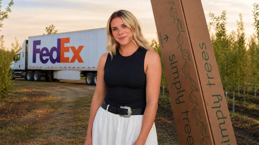 Video: how we pack and ship your tree