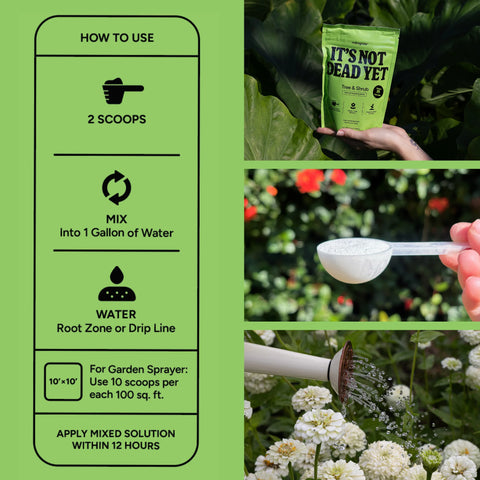 Tree & Shrub MitoGrow