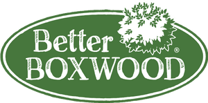 Better Boxwood